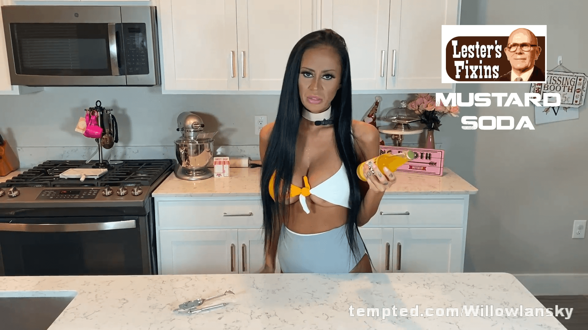 Willow Lansky's Topless Food Reviews Lester's Fixins Mustard Soda