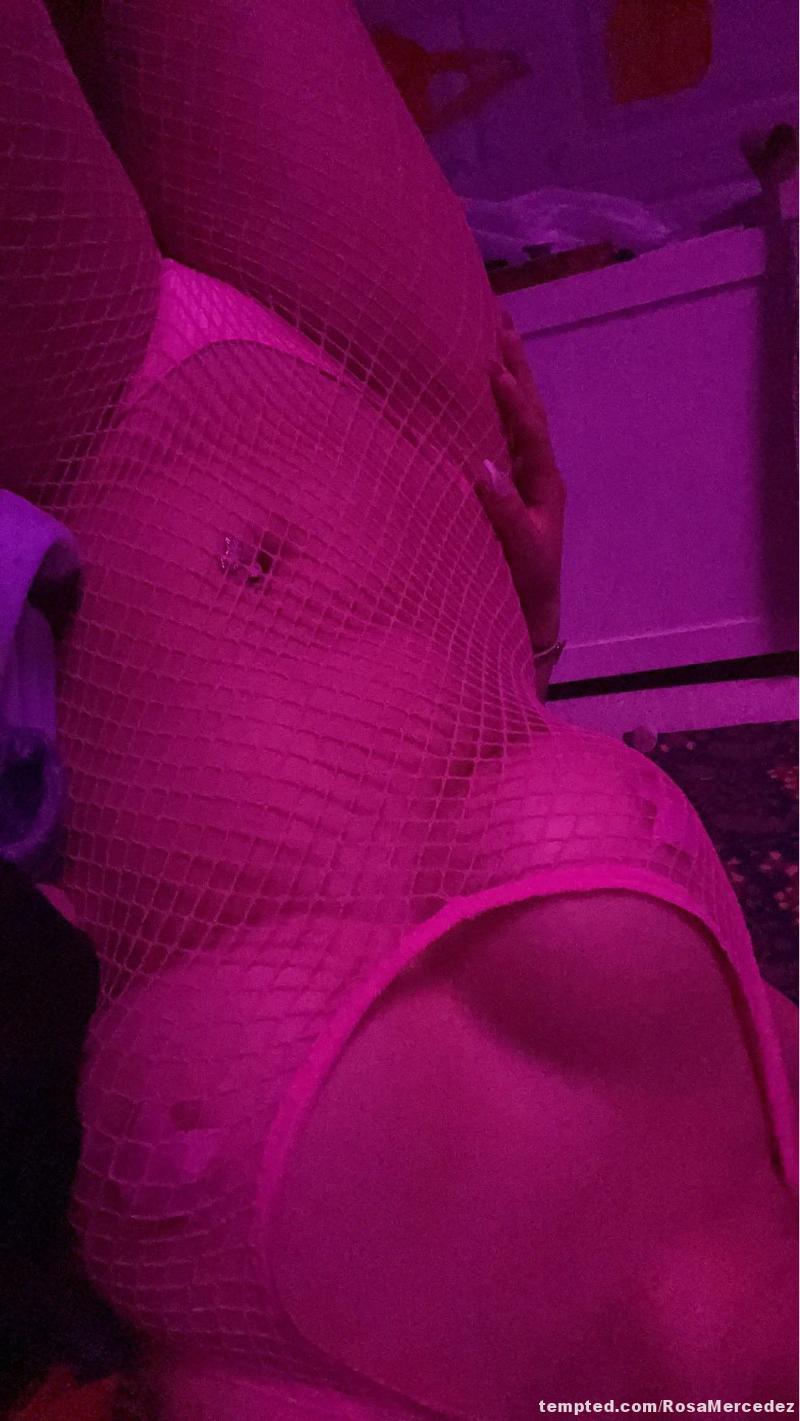 fishnet🩷