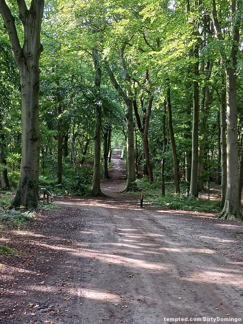 Out in the woods🙋‍♂️