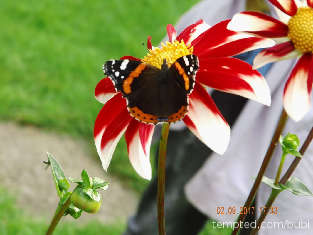 natur