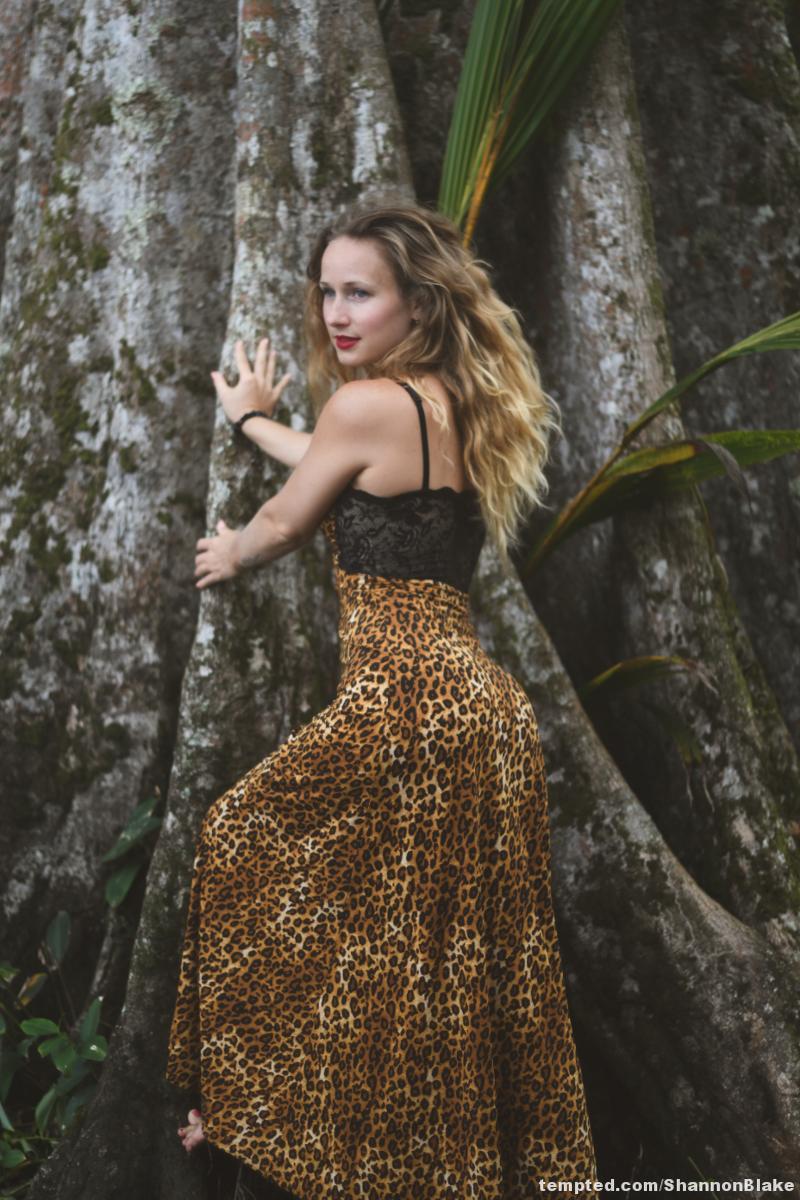 Jungle Lioness