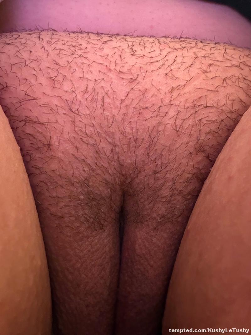 Pussy pics  👅 