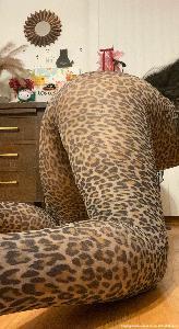 Cheetah Legs