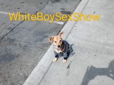 WhiteBoy