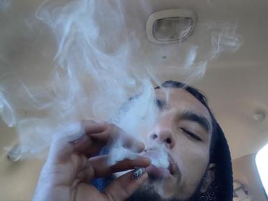 Dreamerkush