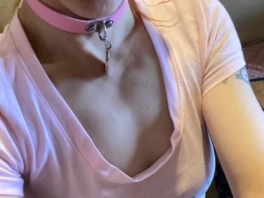 POCKETPAWG