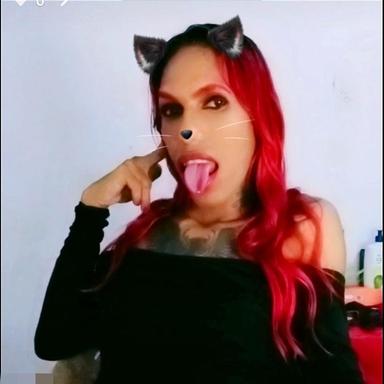 velamieles