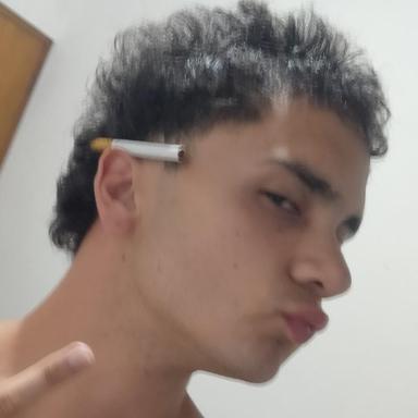 Tripsito