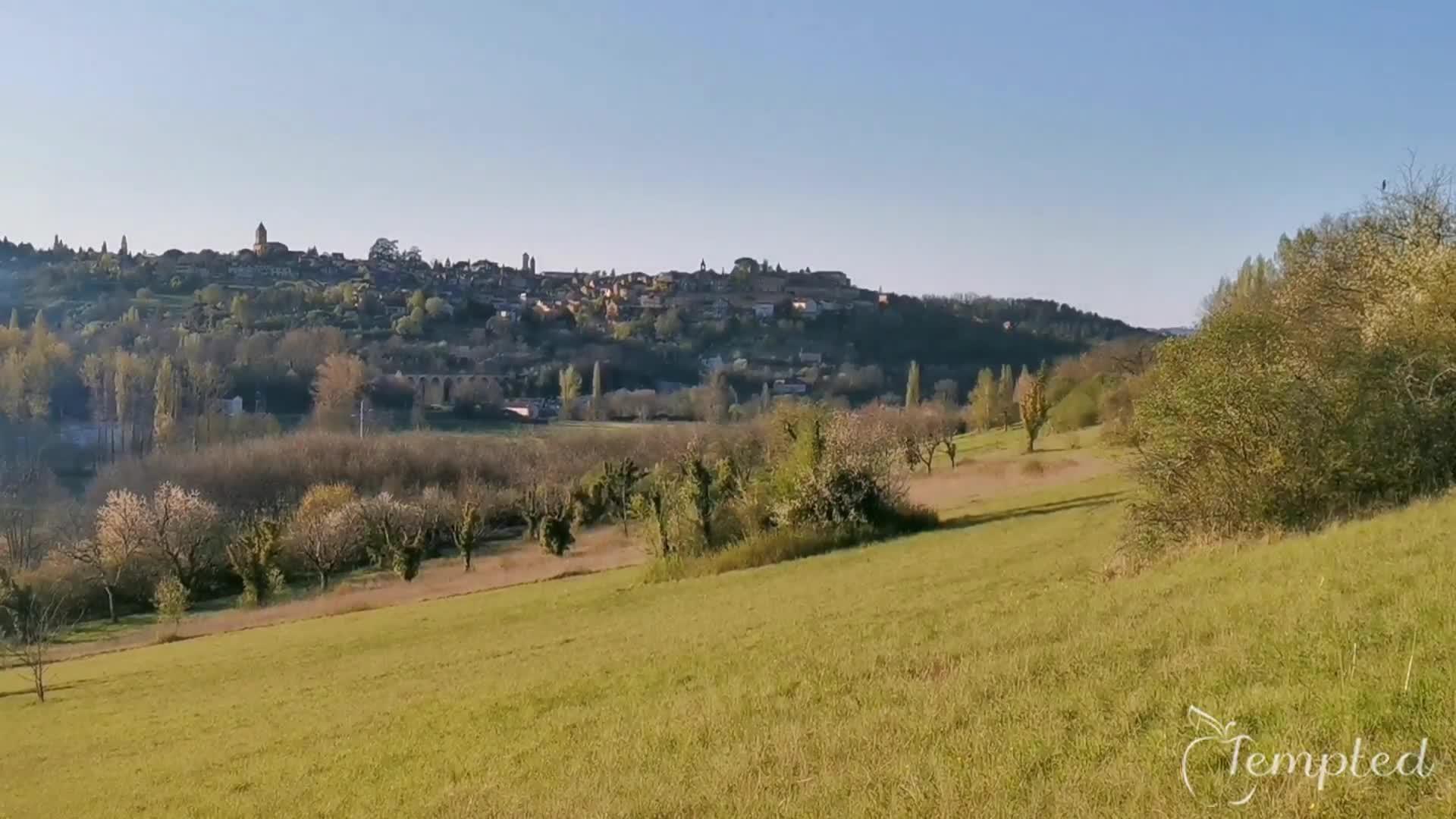 Promotional video cover