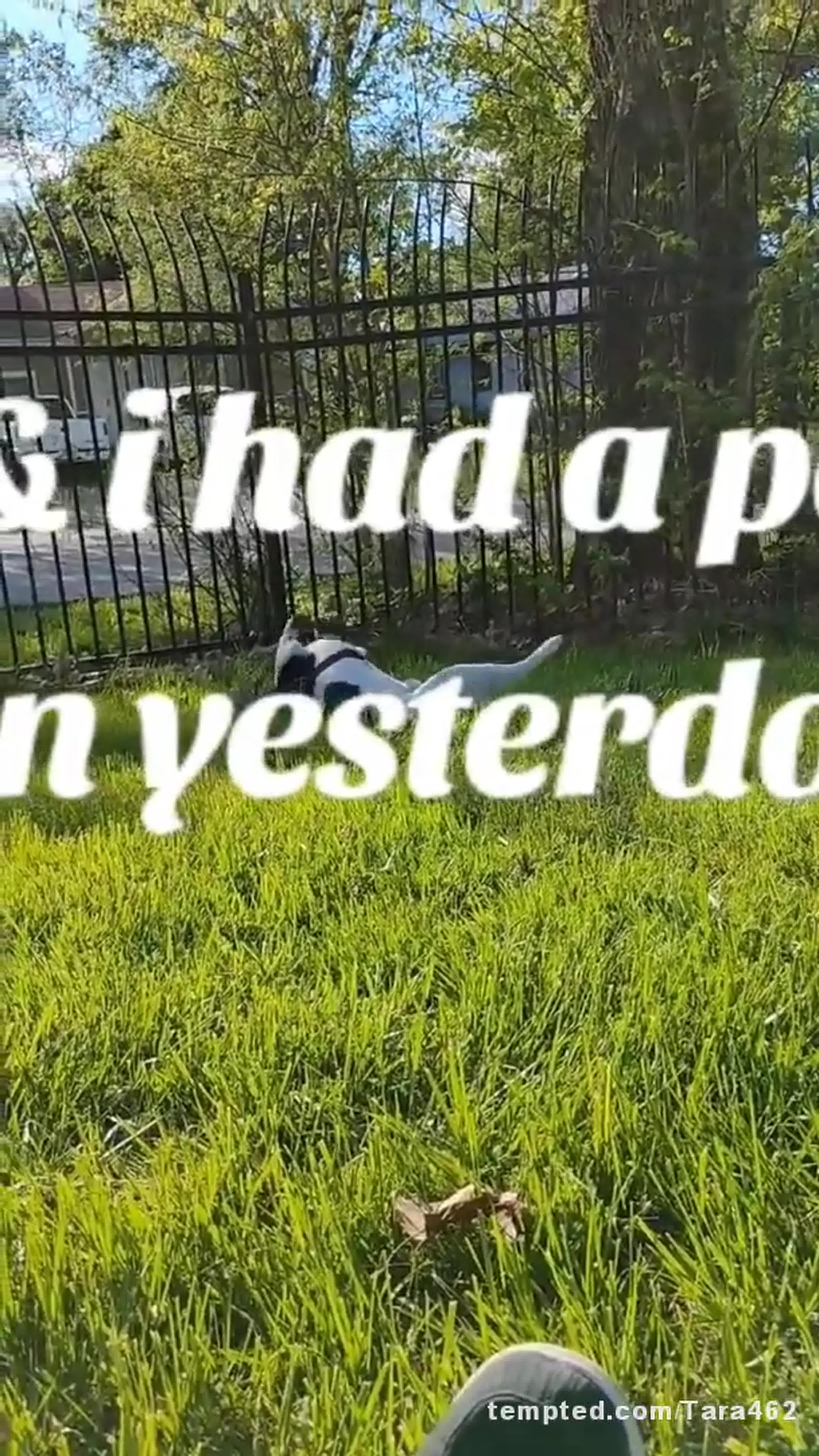 Promotional video cover