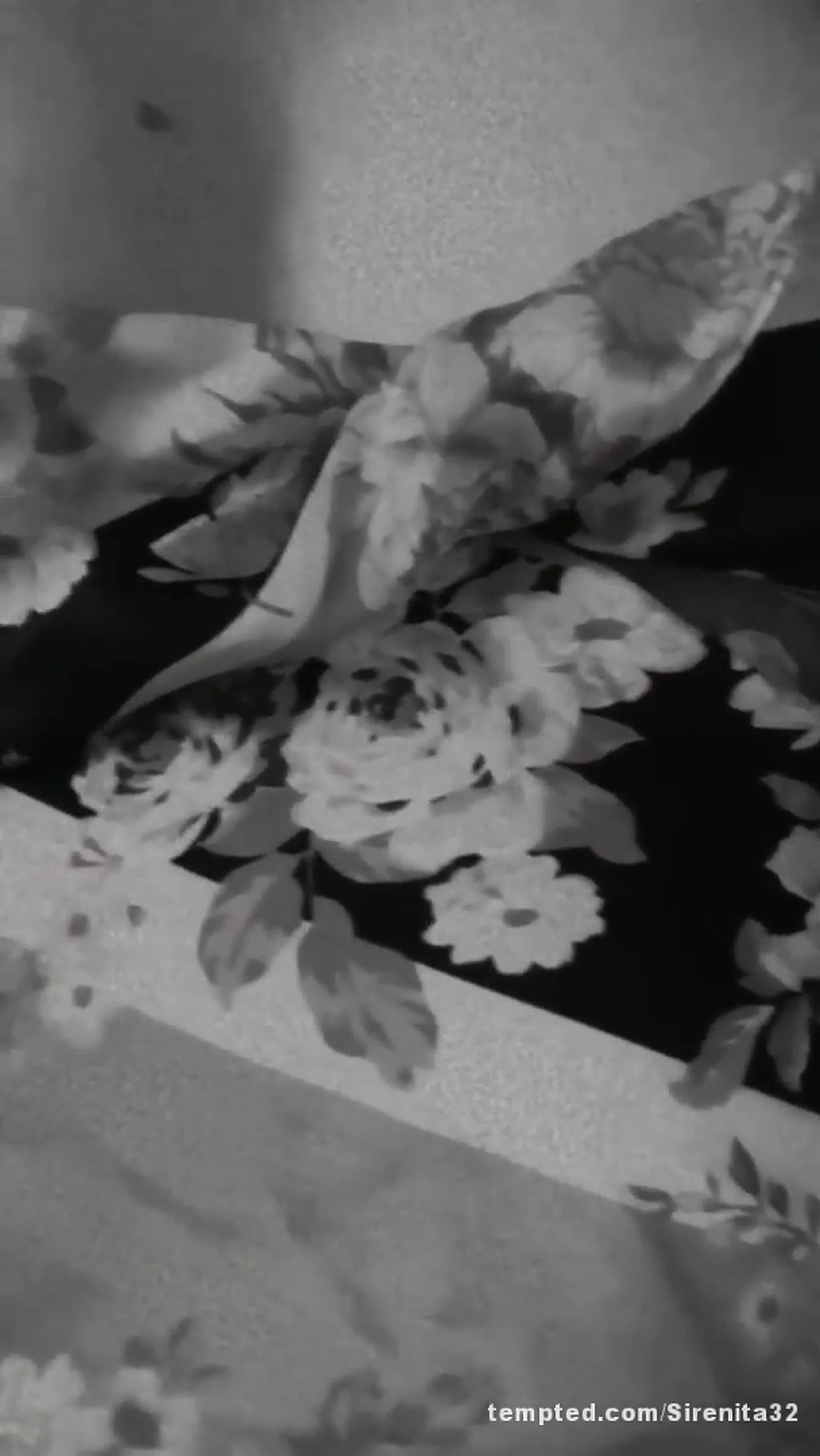 Promotional video cover
