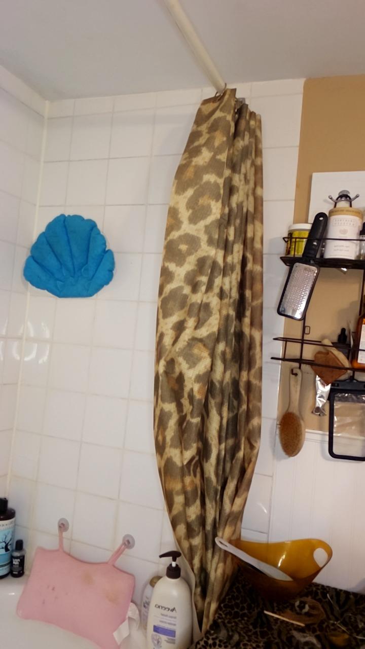 Live show from Nov 23 2025, 22:27