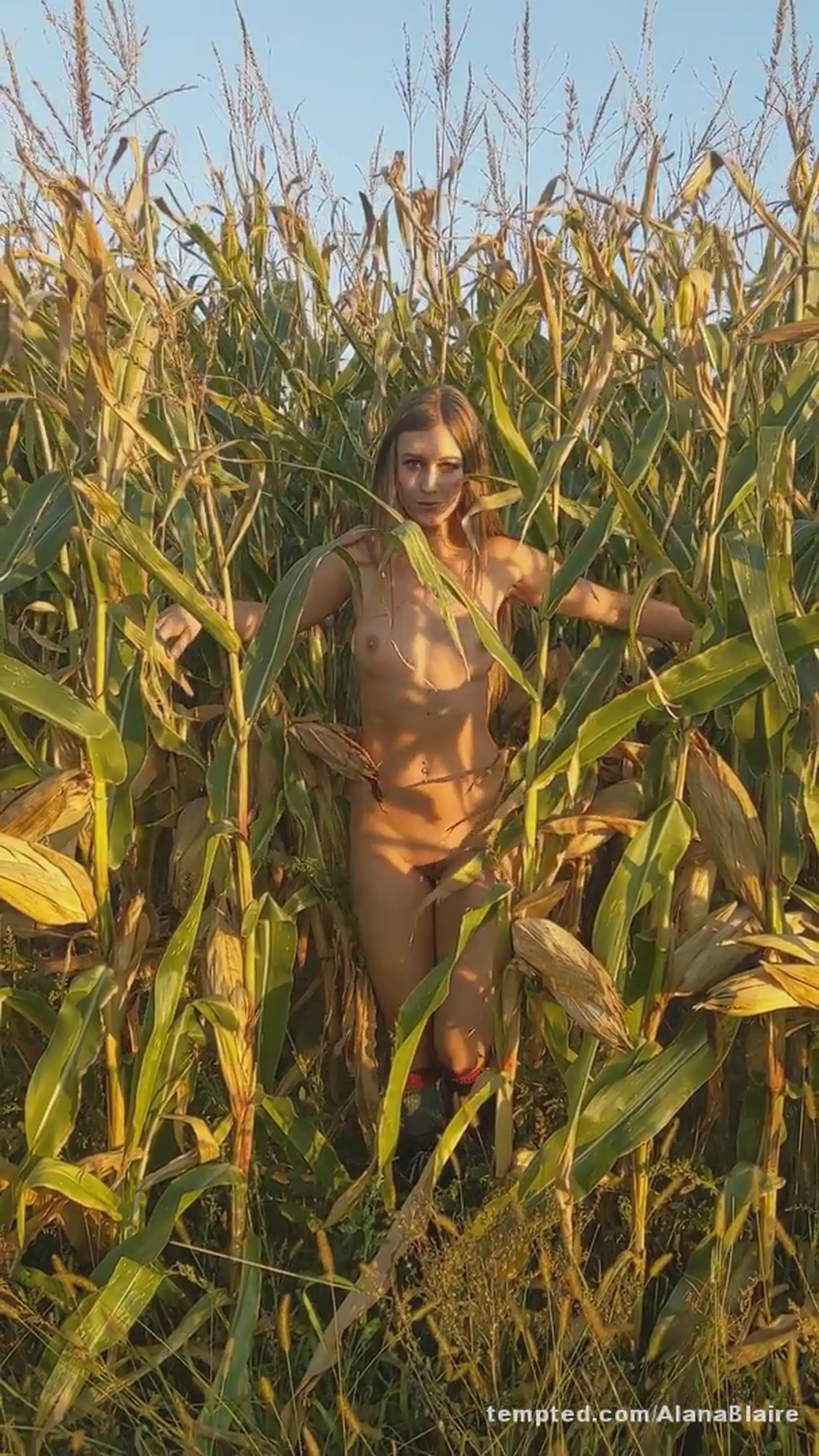 Naked in the cornfield (throwback;))