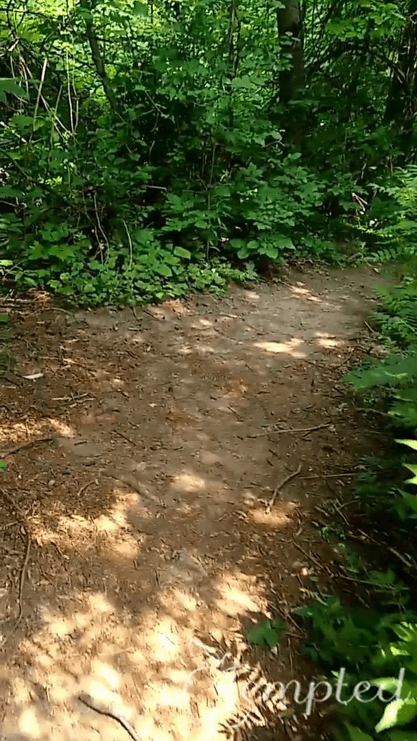 Public Park Pissing