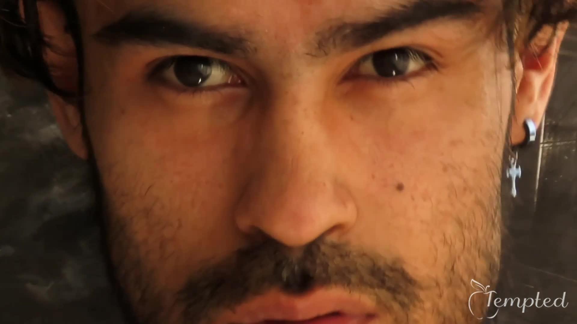 stephanosverentt