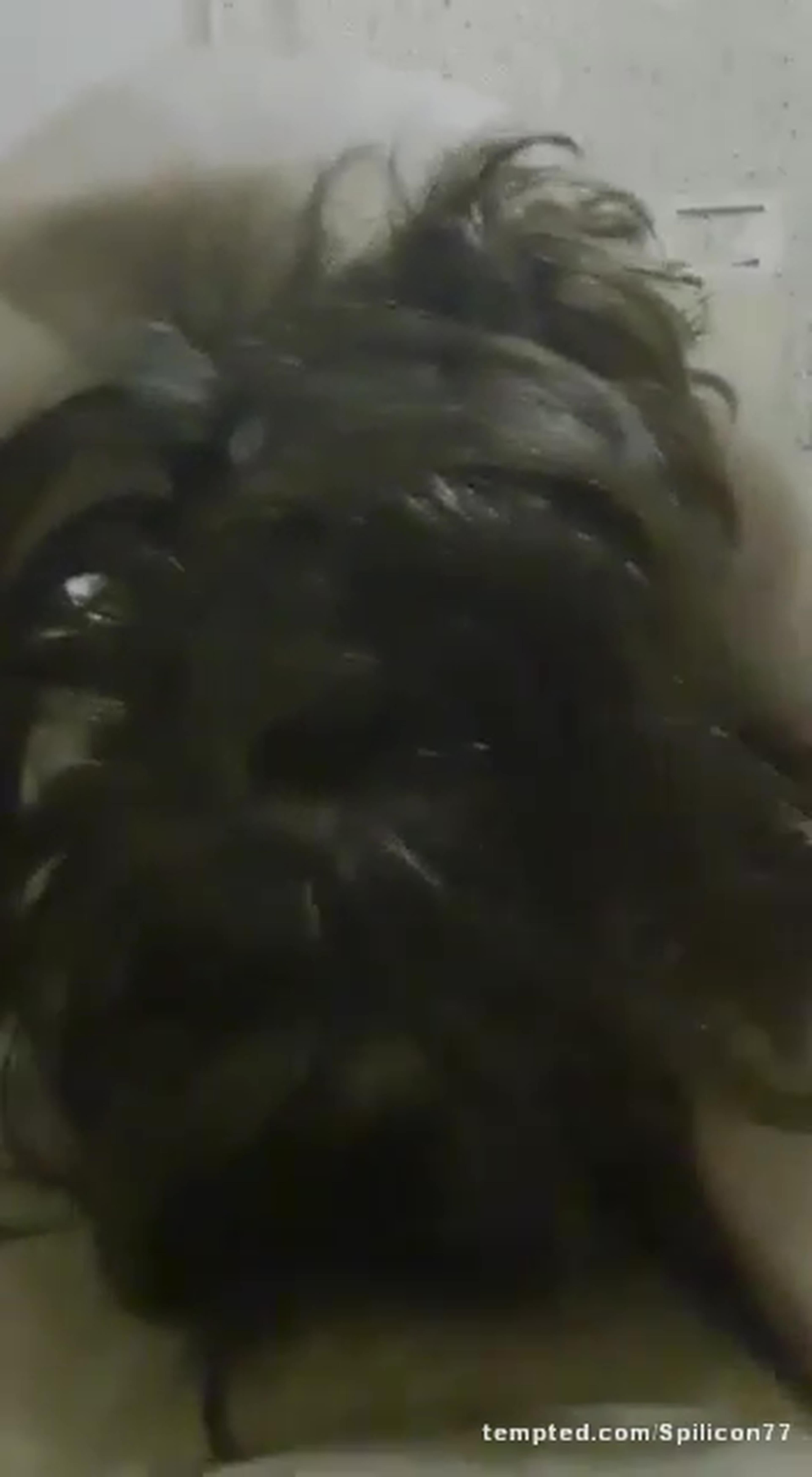 Ninfomana