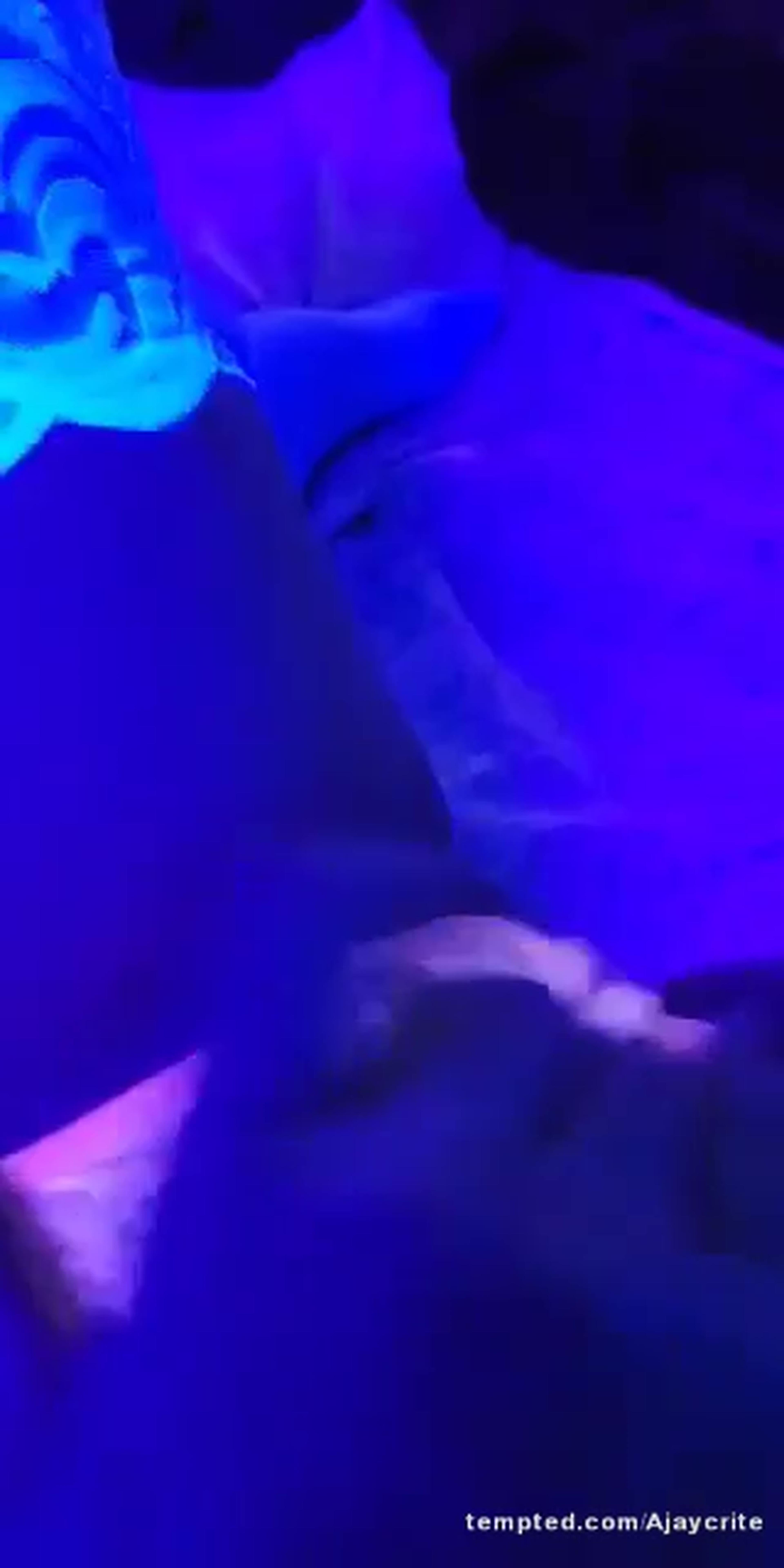Black light fun2