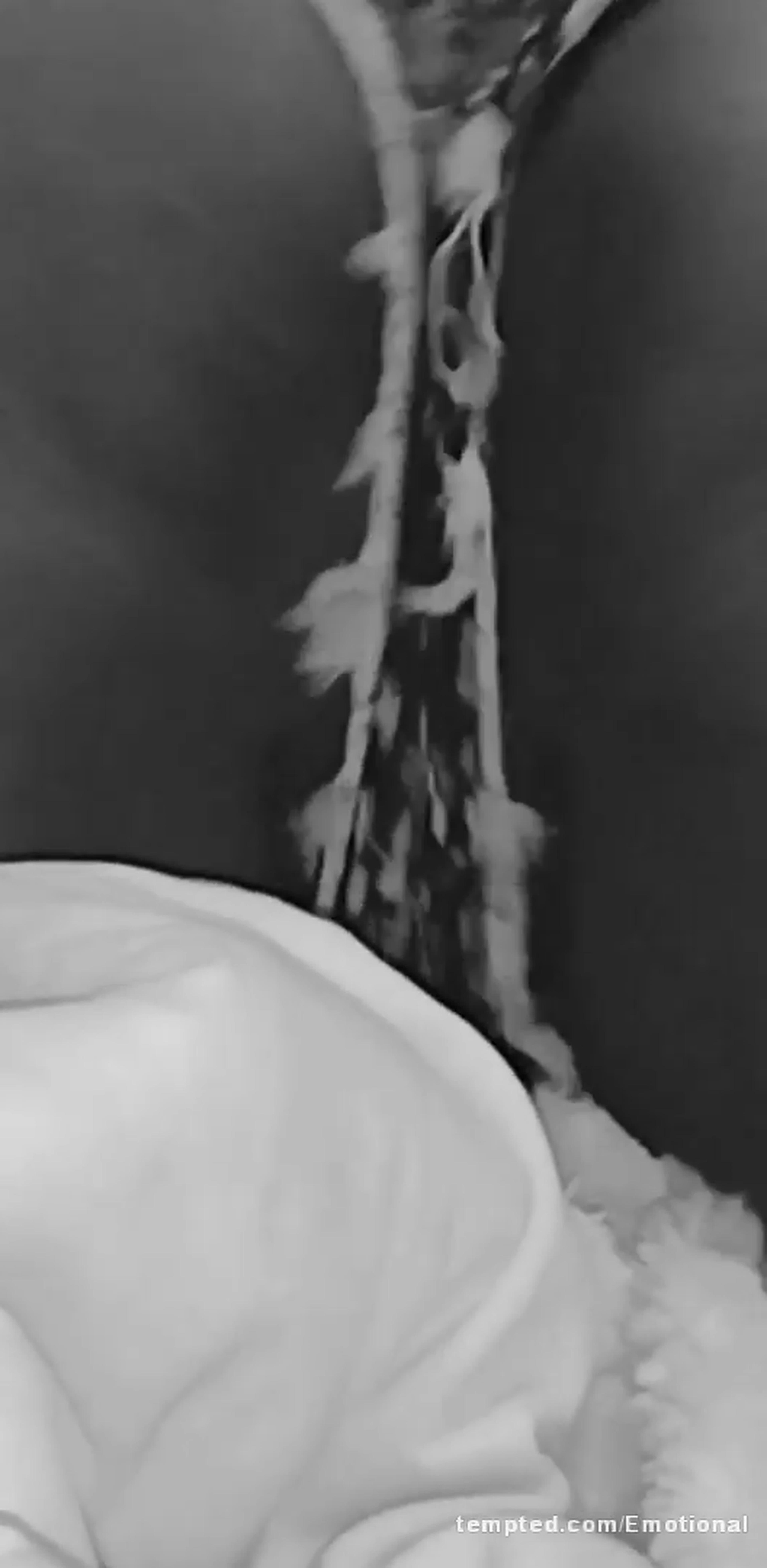Plz I wanna make u cum