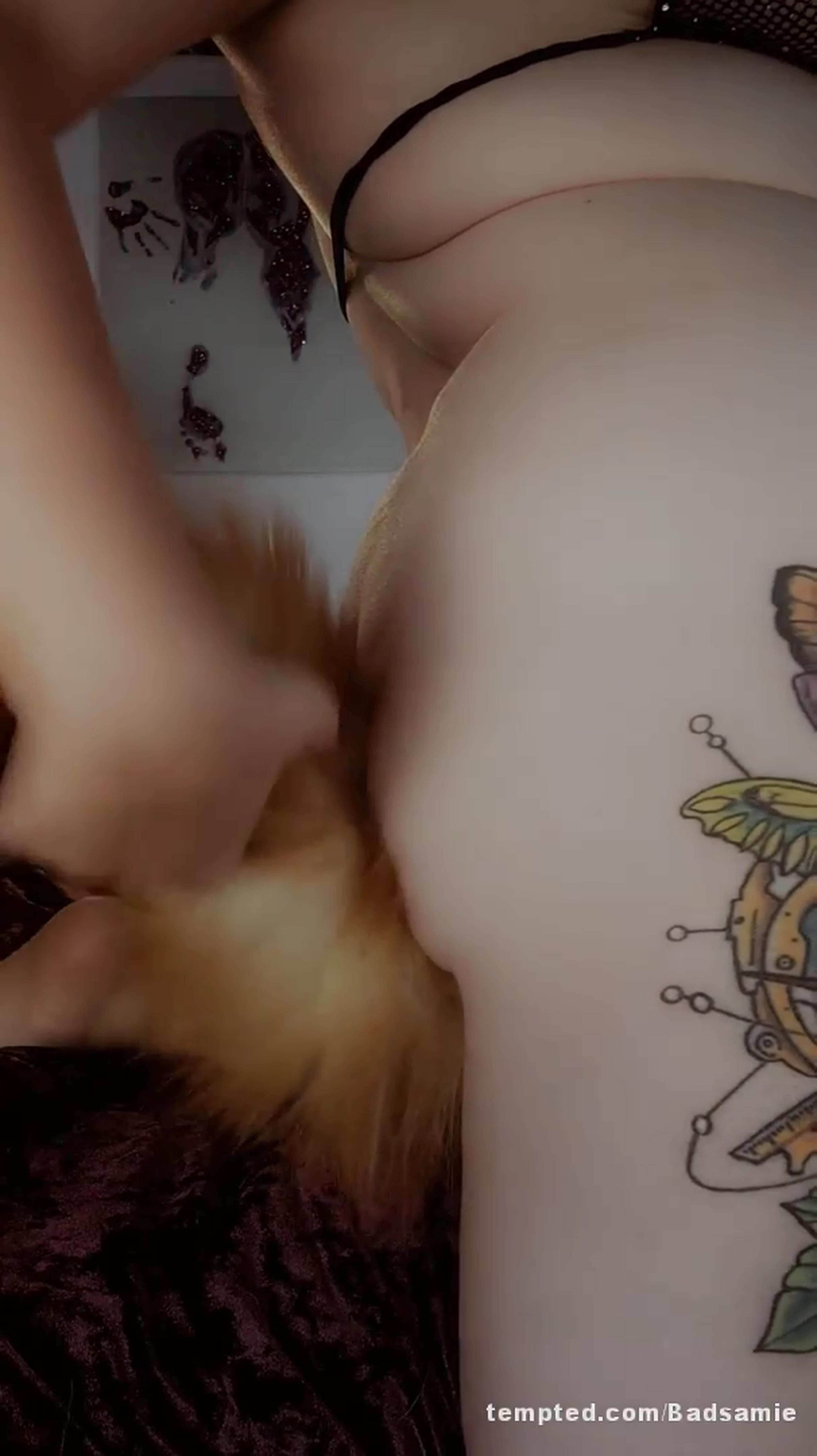 Little fox