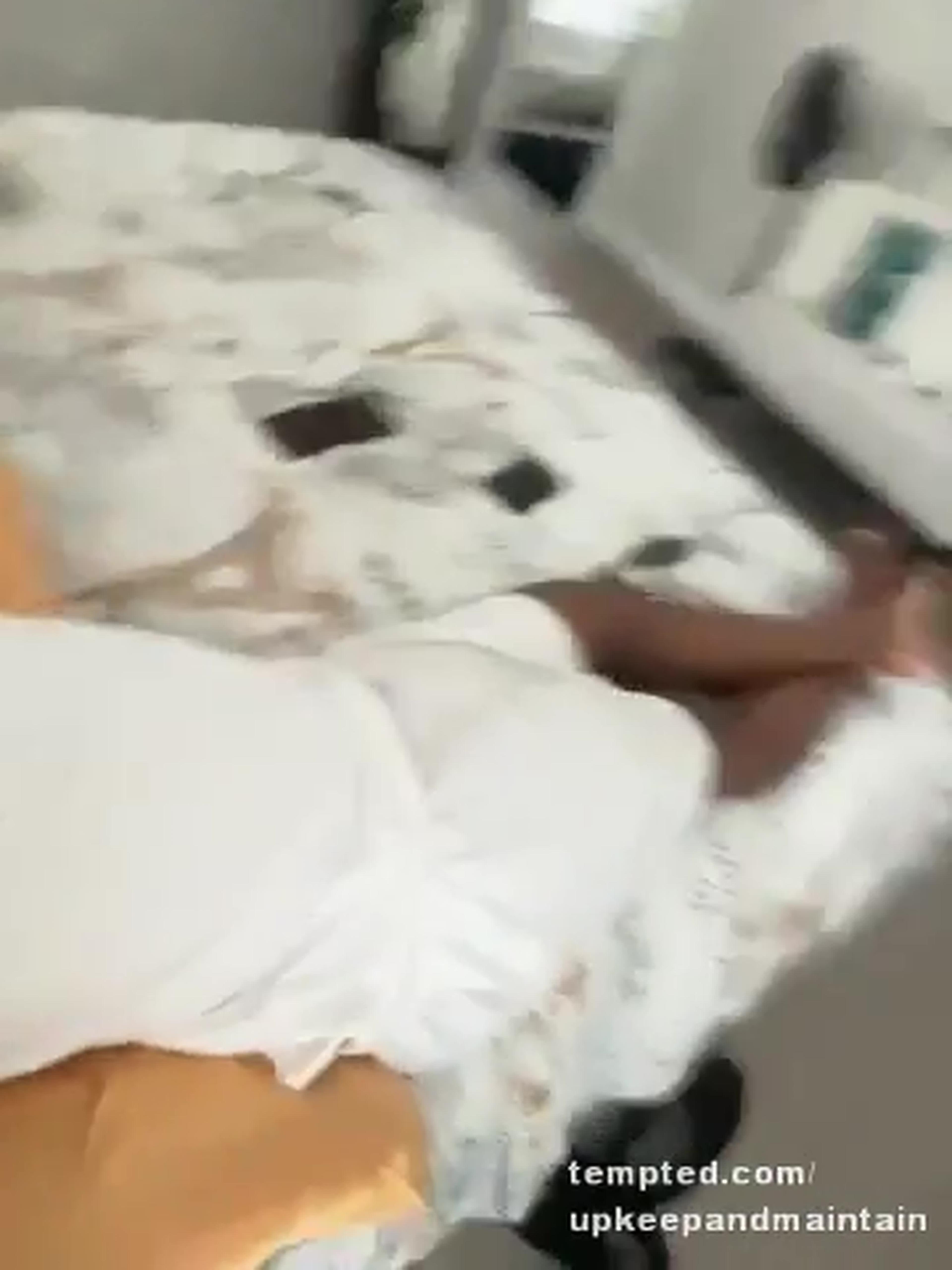 Chilling in the bed