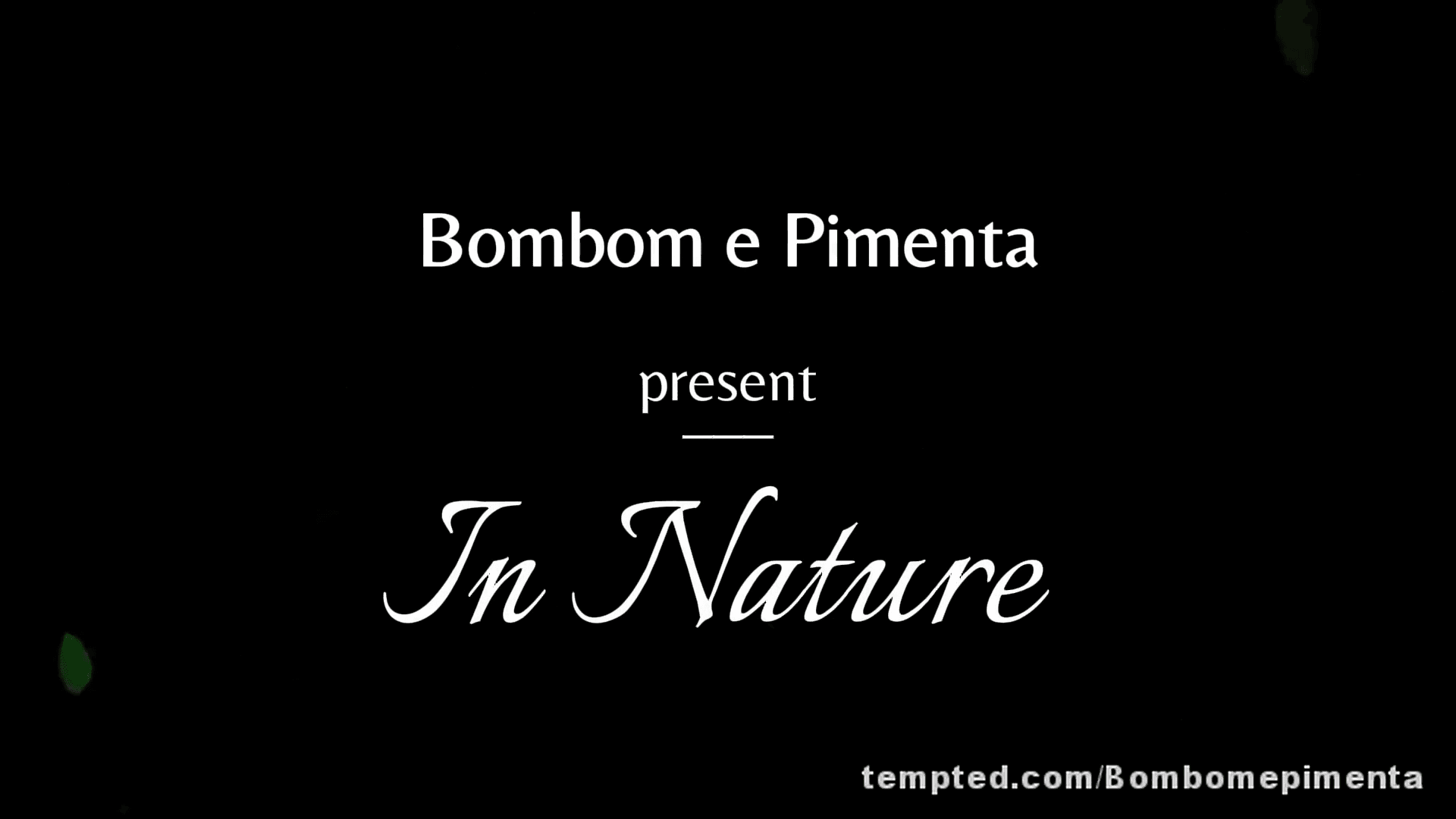 Teaser - In Nature Series