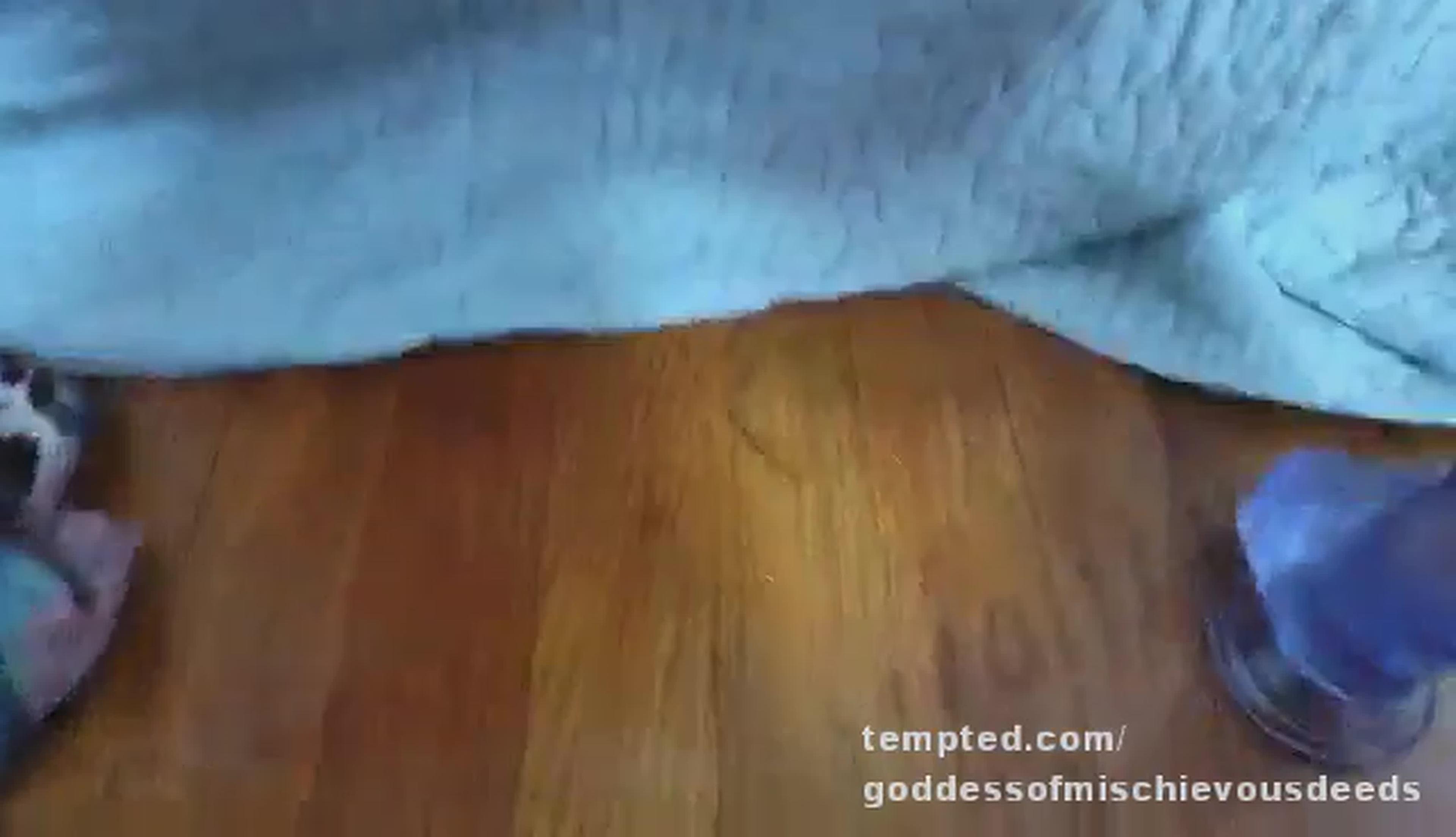 Watch how I soaked my thong #NewOnTempted #BeTempted #FeelingTempted #pussy #squirt #PayPerView