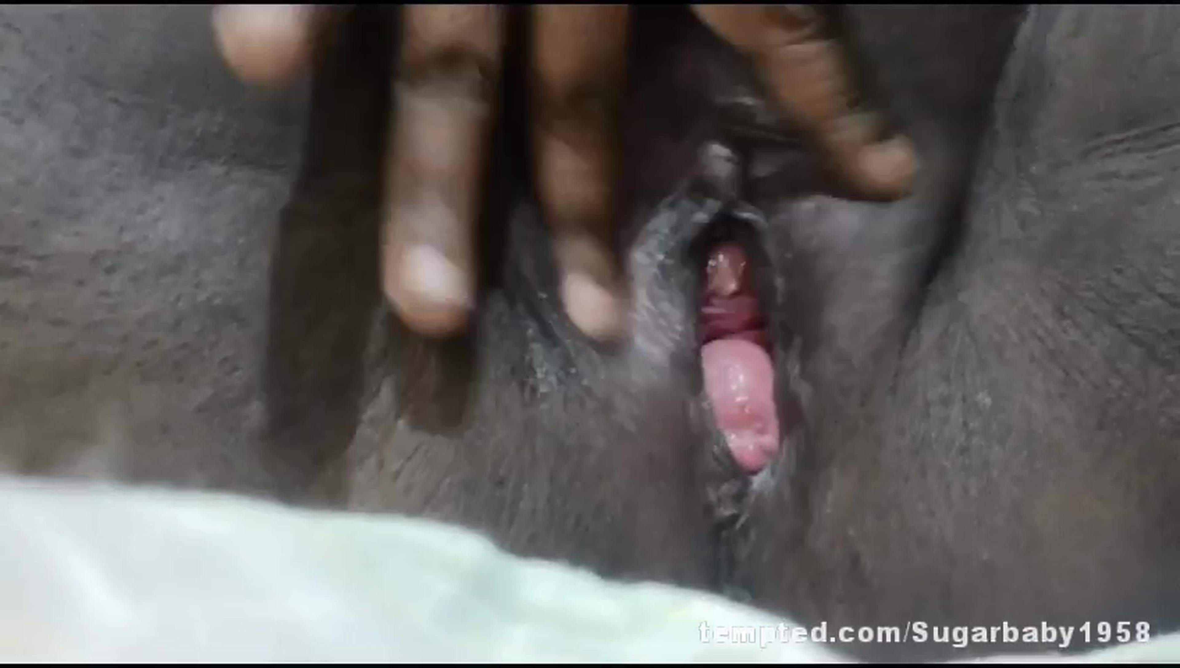 Pussy