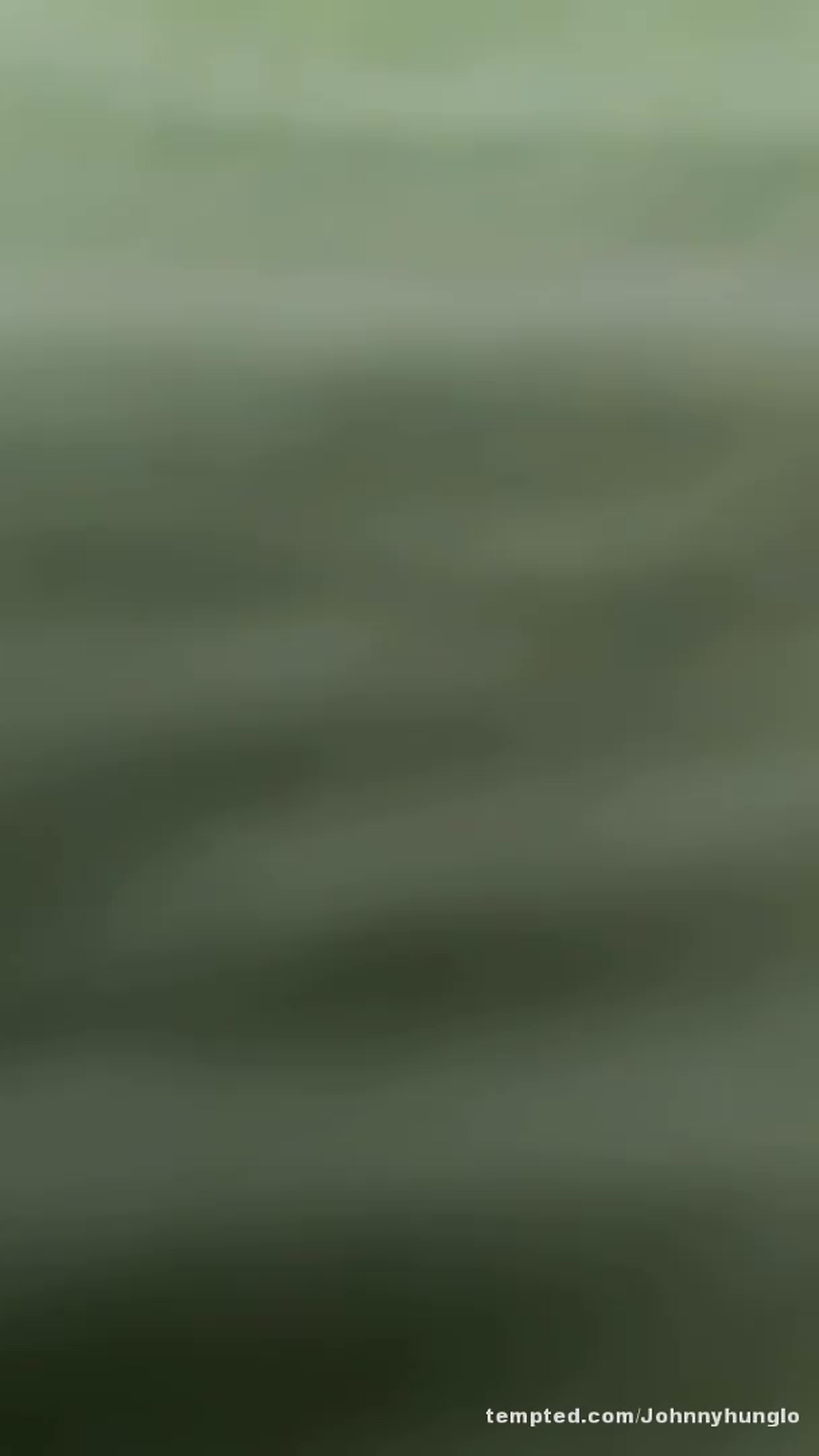 Pt5