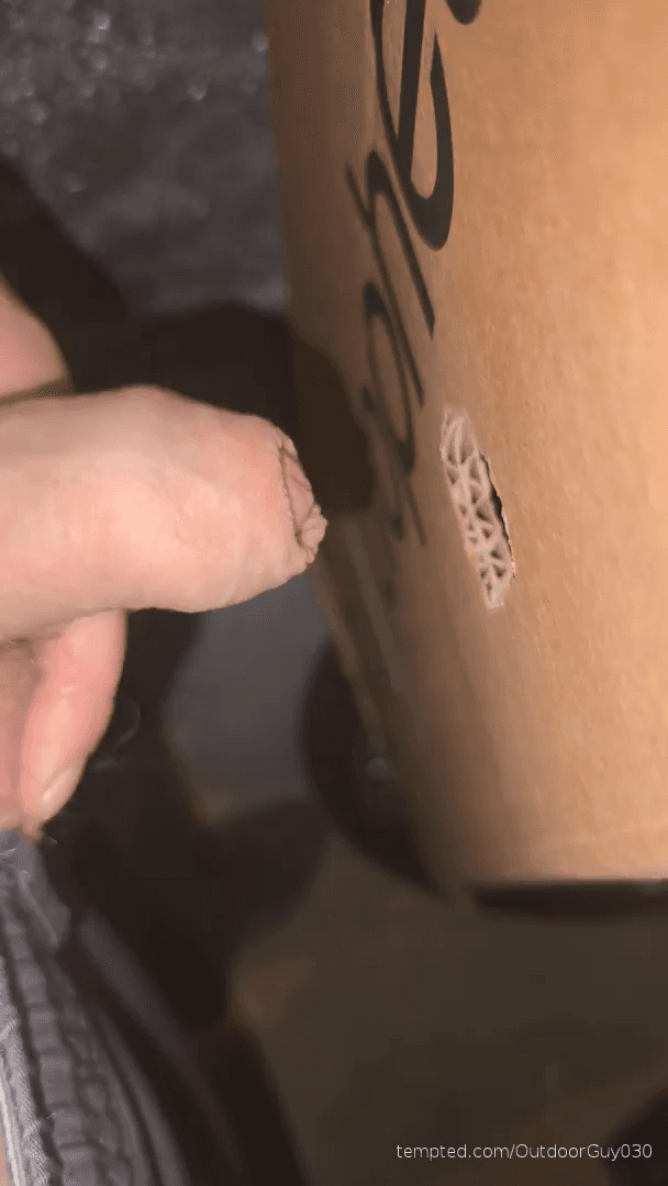 I was horny, so I cut a hole in the cardboard box and fucked it